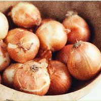 GARDEN SEEDS