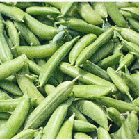 GARDEN SEEDS