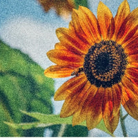GARDEN SEEDS