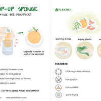 POP-UP SPONGE