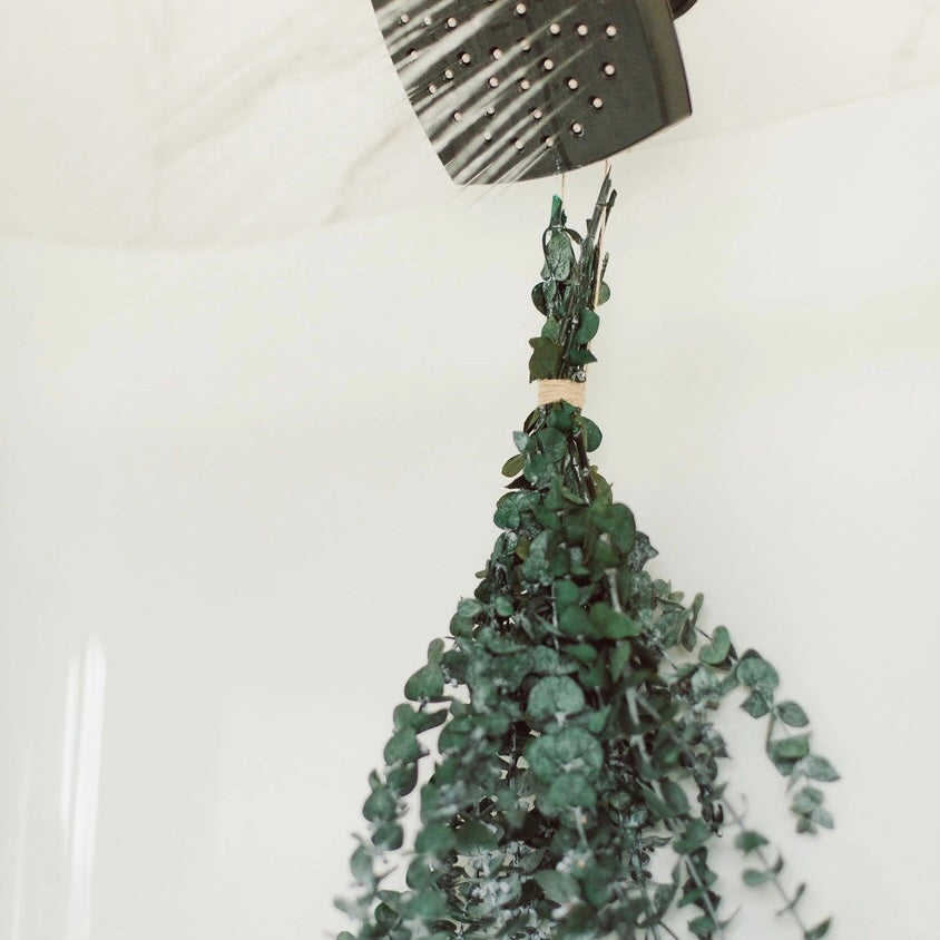 EUCALYPTUS SHOWER BUNDLE – The Refill Co.