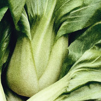 GARDEN SEEDS