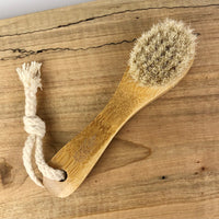 Facial Dry Brush