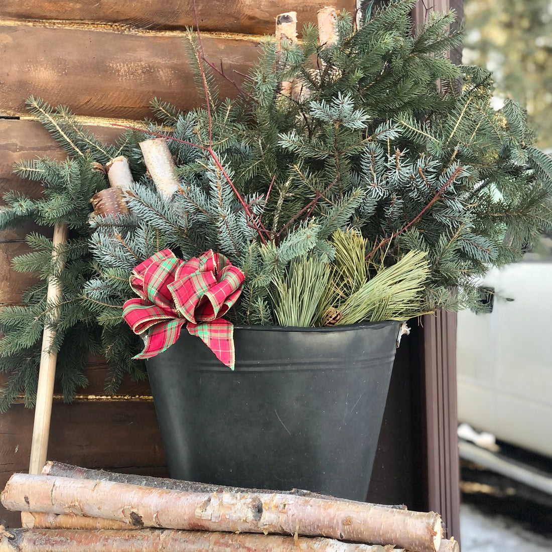 FRESH CUTS BY TIMBER X PINE