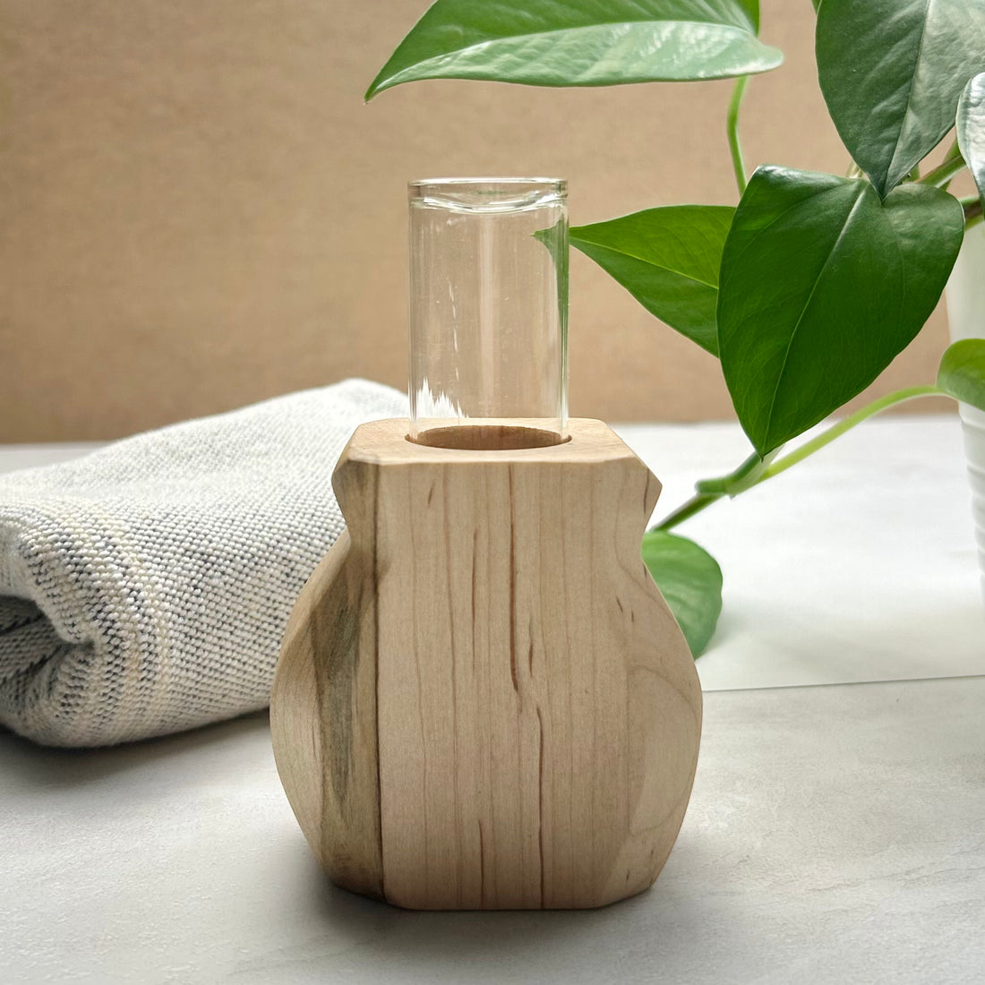 PROPAGATION VASE