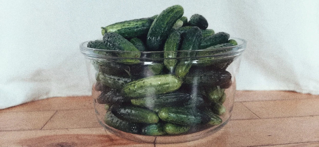GARDEN SEEDS