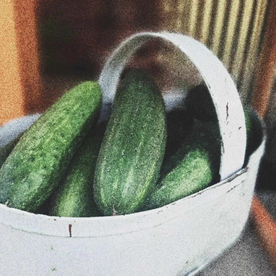 GARDEN SEEDS