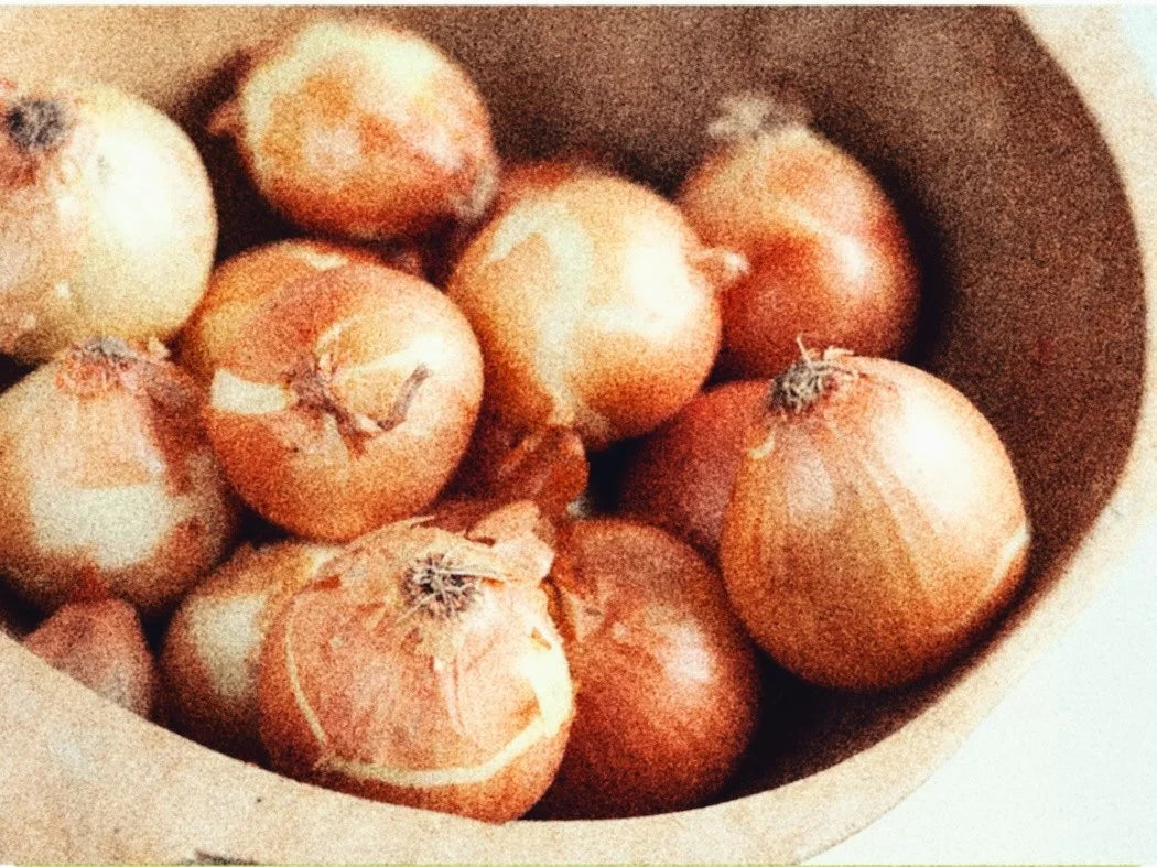 GARDEN SEEDS