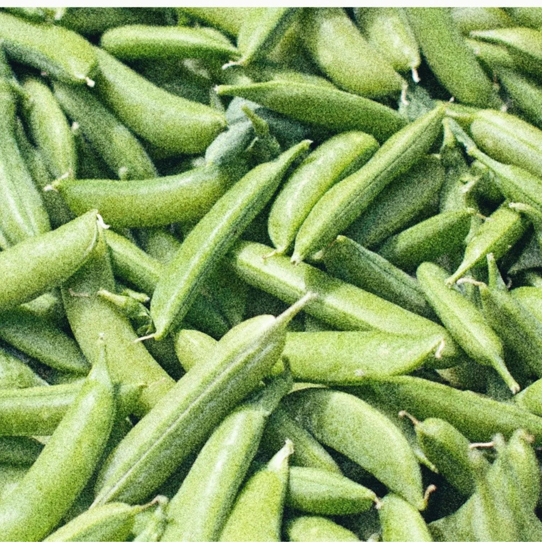 GARDEN SEEDS