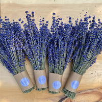 LAVENDER BOUQUETS