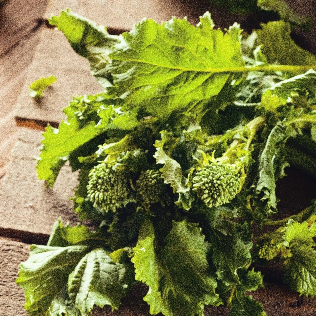 GARDEN SEEDS