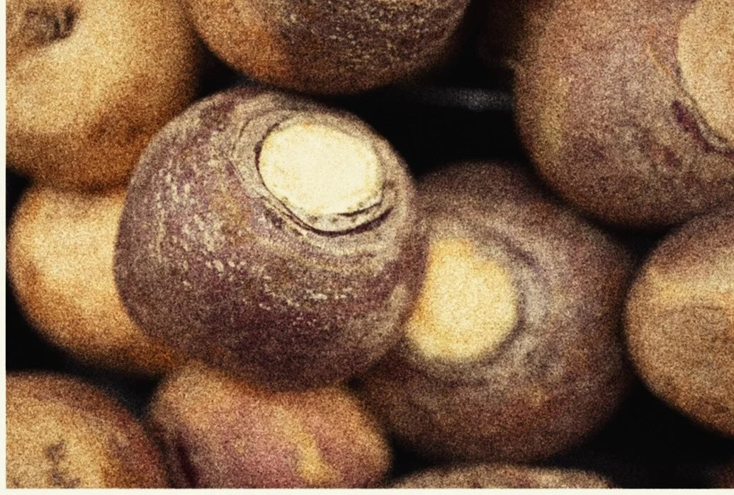 GARDEN SEEDS