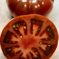 GARDEN SEEDS