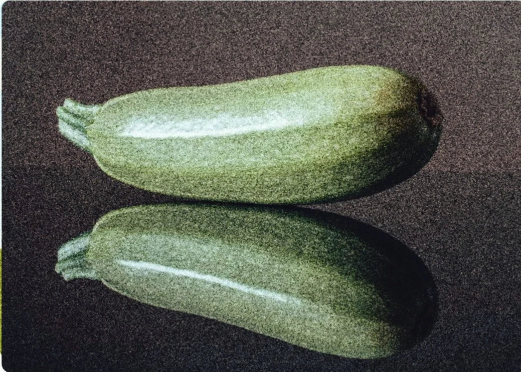 GARDEN SEEDS