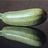 GARDEN SEEDS