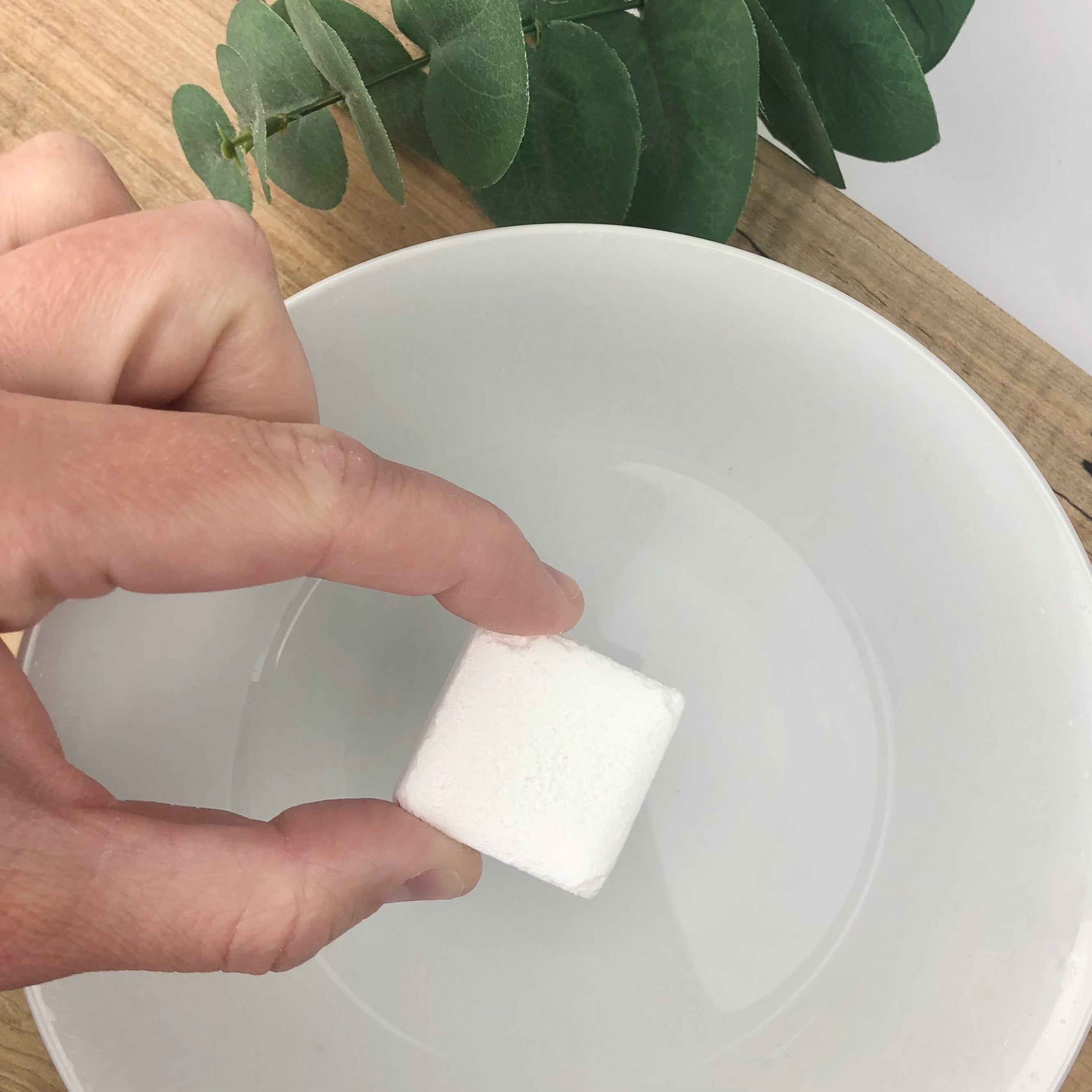 EUCALYPTUS SHOWER MELT The Refill Co.